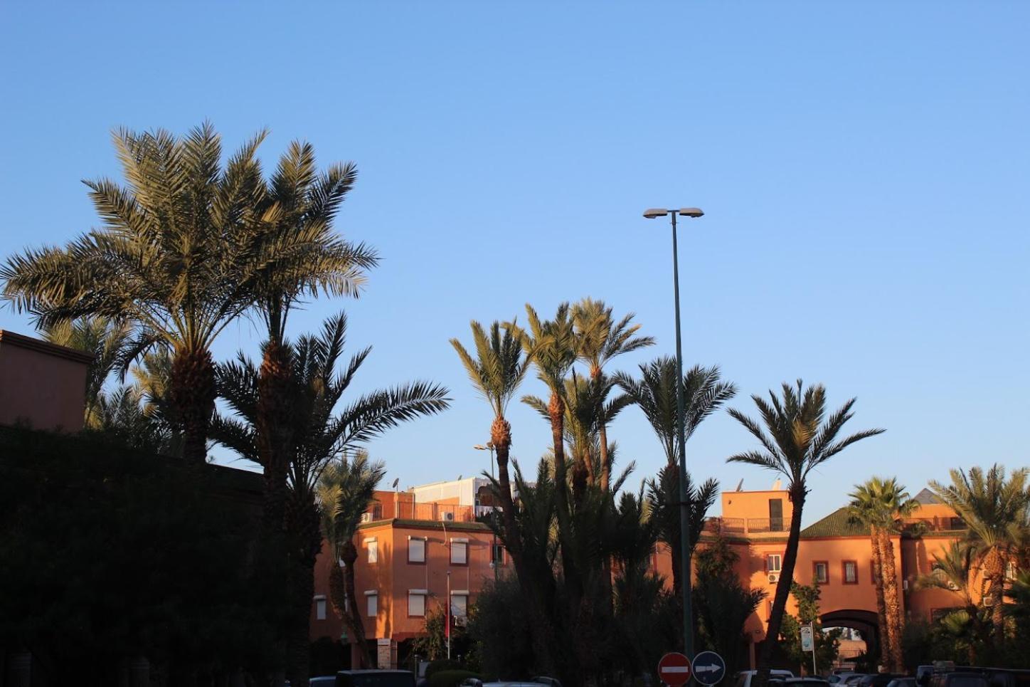 Riad Darnooz Marrakesch Exterior foto